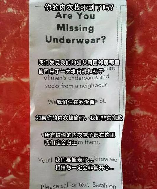 惊现专偷男士内裤的怪癖猫，特殊爱好让主人无奈搬家