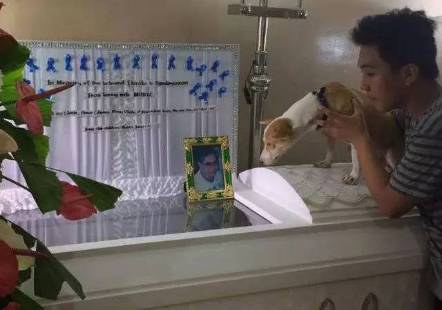 主人因心脏病送医院，接下来的一幕让人泪流满面