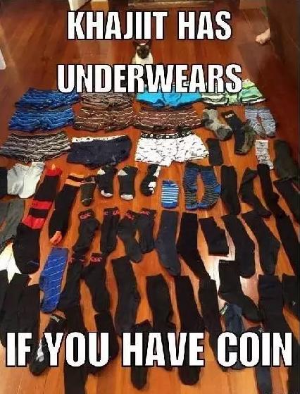 惊现专偷男士内裤的怪癖猫，特殊爱好让主人无奈搬家