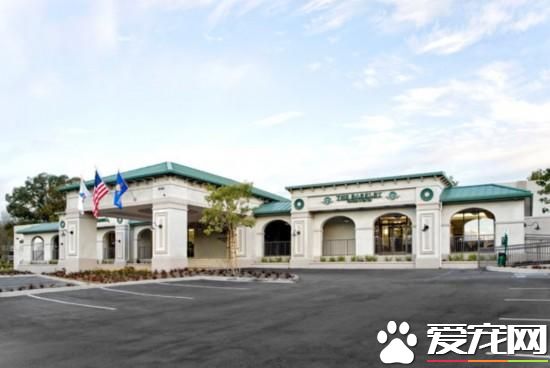 活的不如狗！住豪华房享受按摩，揭秘超奢华宠物酒店