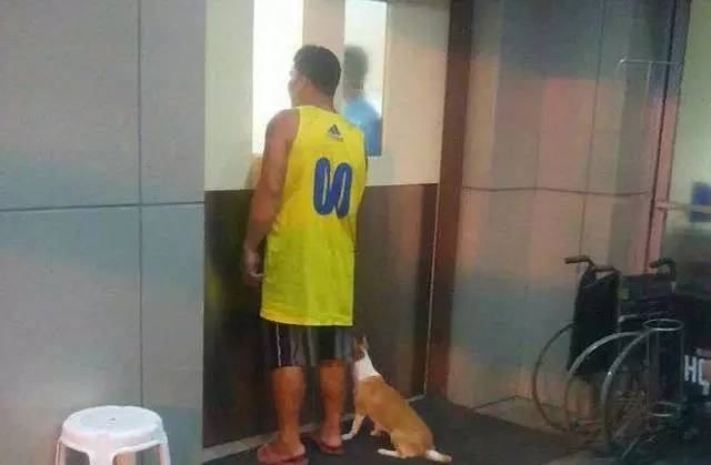 主人因心脏病送医院，接下来的一幕让人泪流满面