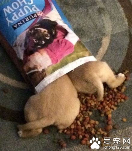 据说要这样吃，才够畅快！