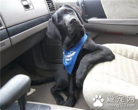 妹纸，欧巴有车，约吗？