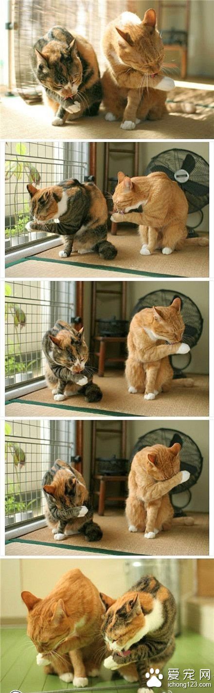 传说中的神同步！