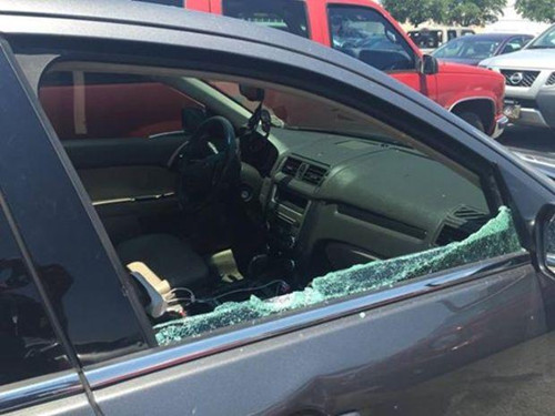 烈日下小狗被锁车内 警方不惜一切代价救出