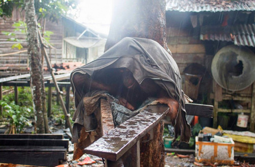 5年前被狠心遗弃 更是将它锁在垃圾池旁以垃圾为生