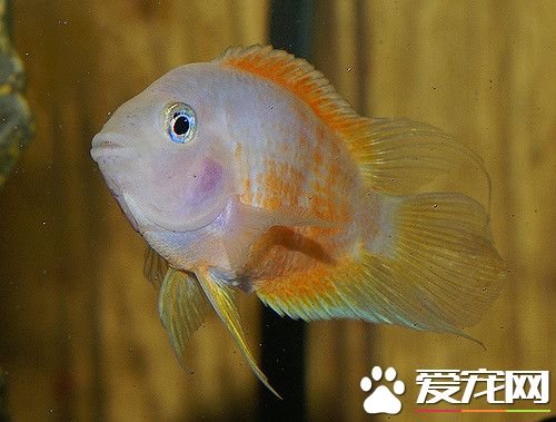 2074864243_e886f7944f_z