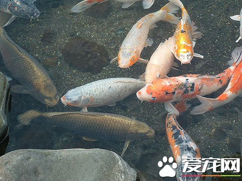 284852271_278234f3c9_z