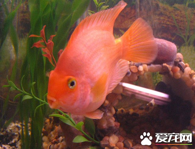 2127621919_23590df8bf_z