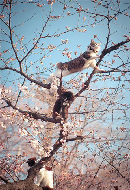 你。。。站得好高呀。。