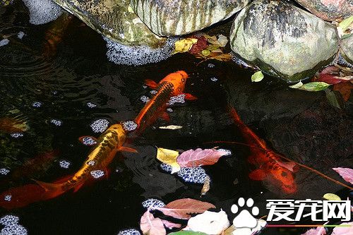 144082816_c34f5e595f_z