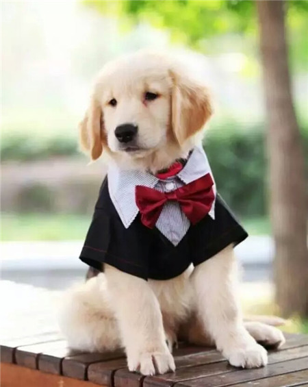 麻麻，你看我穿上新衣服帅不帅？