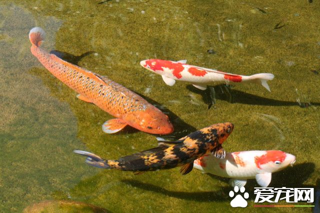 275566819_2d57155296_z