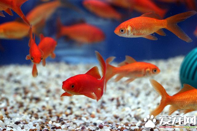 54837220_84e59125cb_z