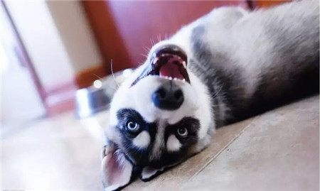 老子就要这么睡，你管得着吗？