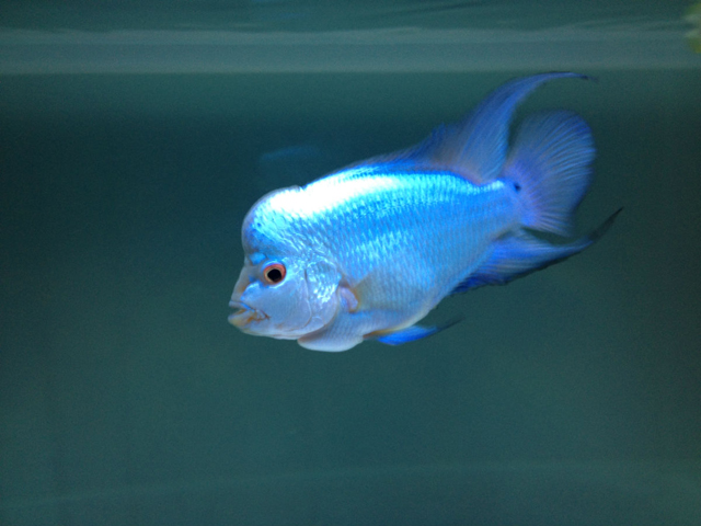 9825bc315c6034a8b1eb2010cb13495409237612