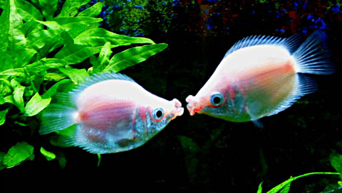 5ae5d512g58a1d1eccb67