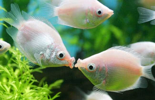 8f2bb8c4f4b411e5959200163e00254c