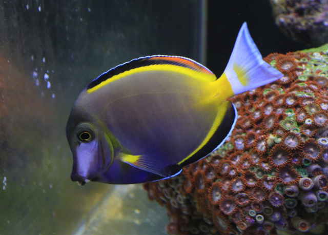 134626t9zk599d9dk9d15d