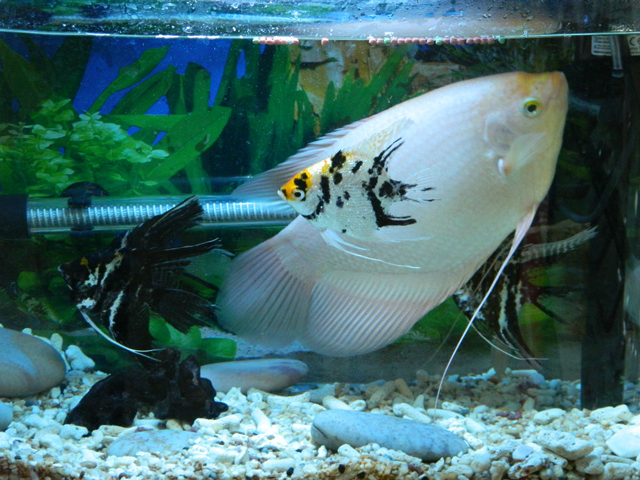 29381f30e924b89905af3c8d6e061d950b7bf6f0