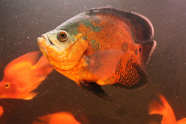 3d68e6e9e82e20be9123d99b