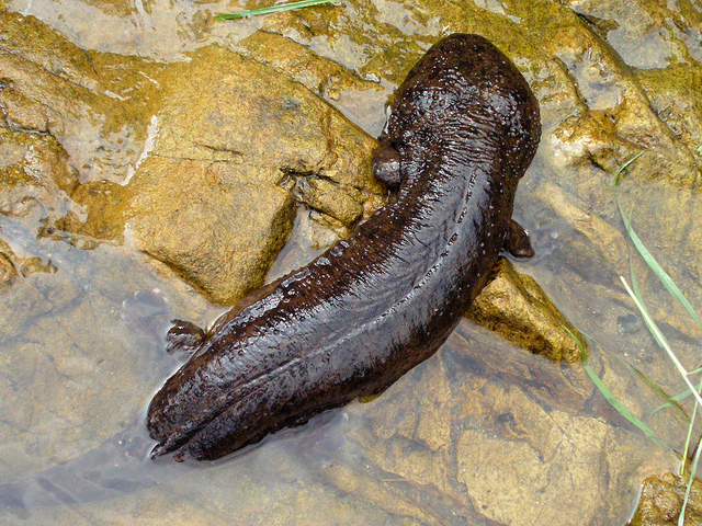 5102871695_6fbf4183cc_z