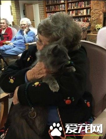 超暖心互动 猫咪拜访安养院散播最萌疗愈