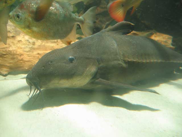 47068204_3ab6cd9a08_b