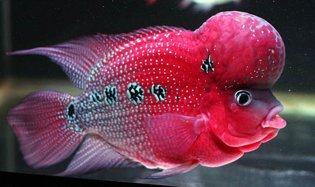 503d269759ee3d6d50ff9f5c41166d224f4ade6f