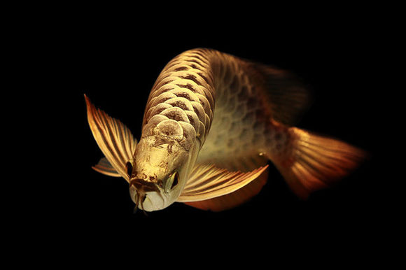 9abb2cfbfbedab64a7b2d250f536afc37b311e96