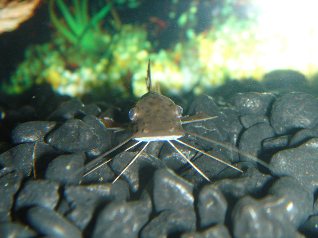 394545160_83bb60a2ba_z