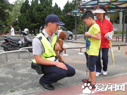 红贵宾走失小主人哭肿眼 暖警帮找回