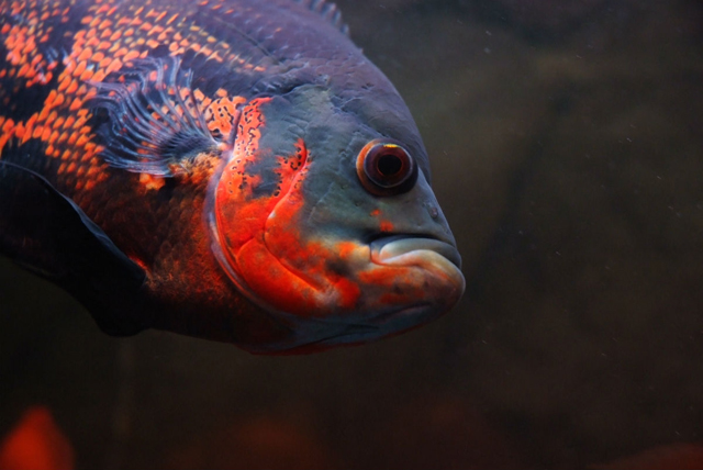 7c1ed21b0ef41bd50274fbb351da81cb39db3d55