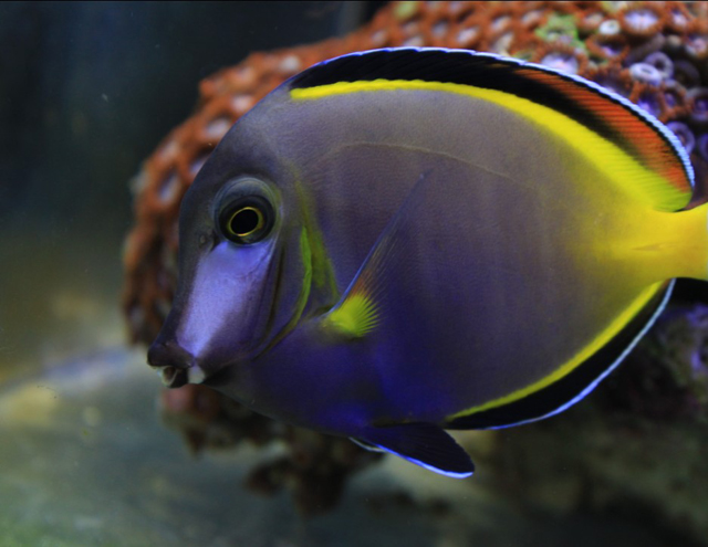 134614nkkpx5xi118n2exk