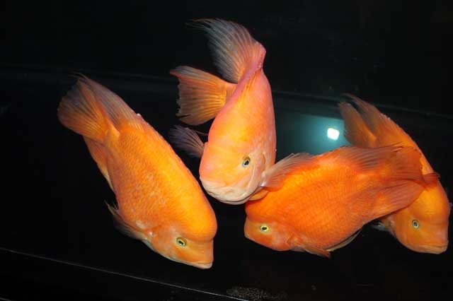 7be3574ec44e3caad72afcd7