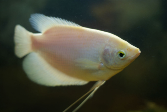 42a98226cffc1e17a4ed6b594b90f603738de90c