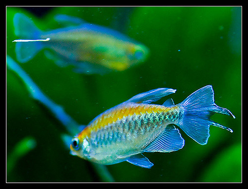 2835119687_dd25ec8f7e_z