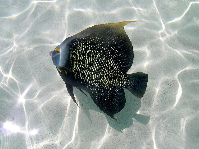 369897415_02e464aef5_z