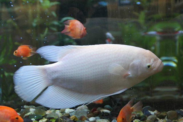 472309f79052982211fed495d4ca7bcb0b46d493