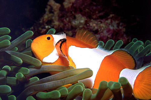 89828990_95e6a3588e_z