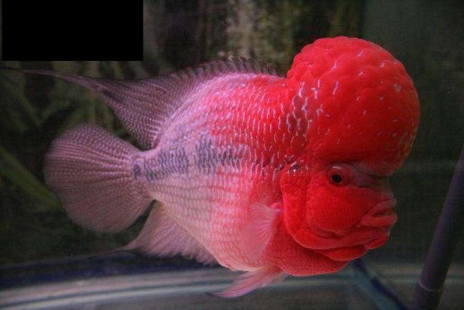 1b4c510fd9f9d72ac5478c12d52a2834349bbb9a