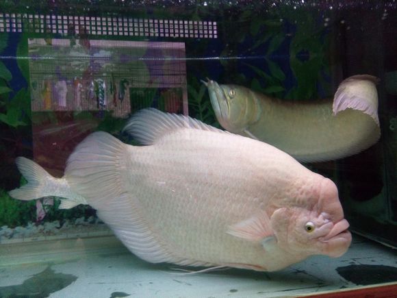 5c34fcf2b21193138211d1a566380cd790238dcf