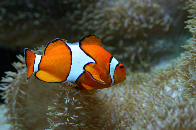 1357002624_6811cc37f6_z