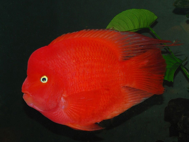 241f95cad1c8a786cdb0c9856709c93d71cf50a6