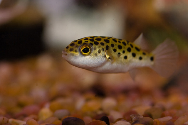 2913100257_9e81b39259_z