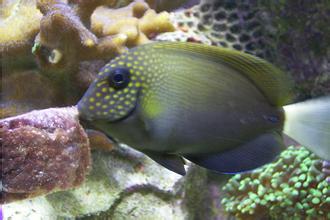 u=1152919615,2073330224&fm=21&gp=0