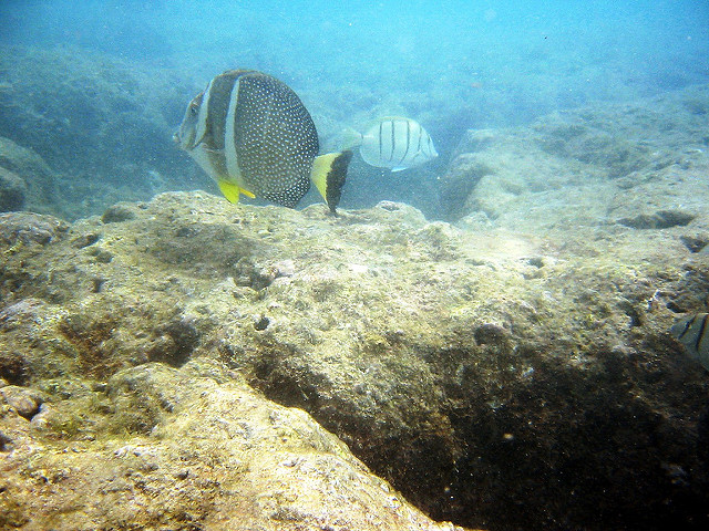 2115544299_37e170cae3_z