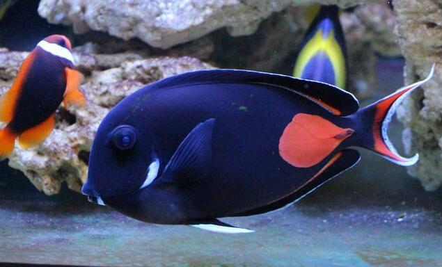 QQ截图20160714113914