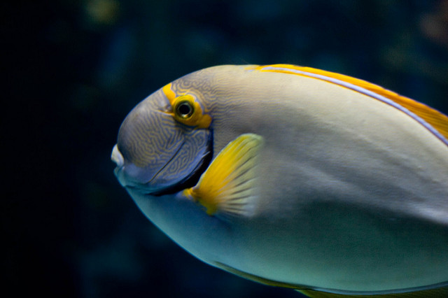 3410325442_7722eeccf9_z