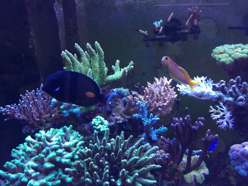 112903bu4mv9mmy4wwono6